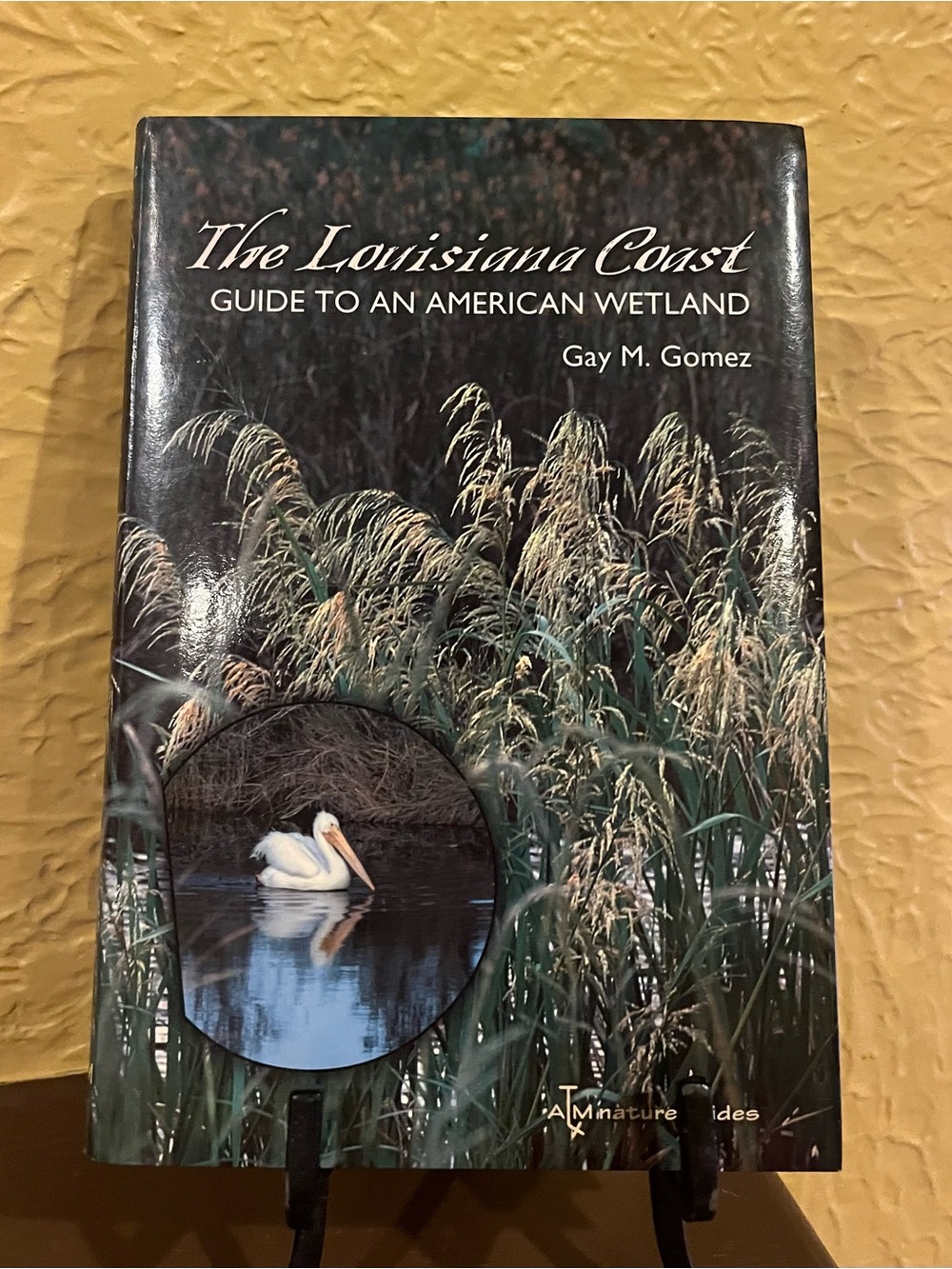 ‘The Louisiana Coast: A Guide to an American Wetland’ by Gay M. Gomez Book